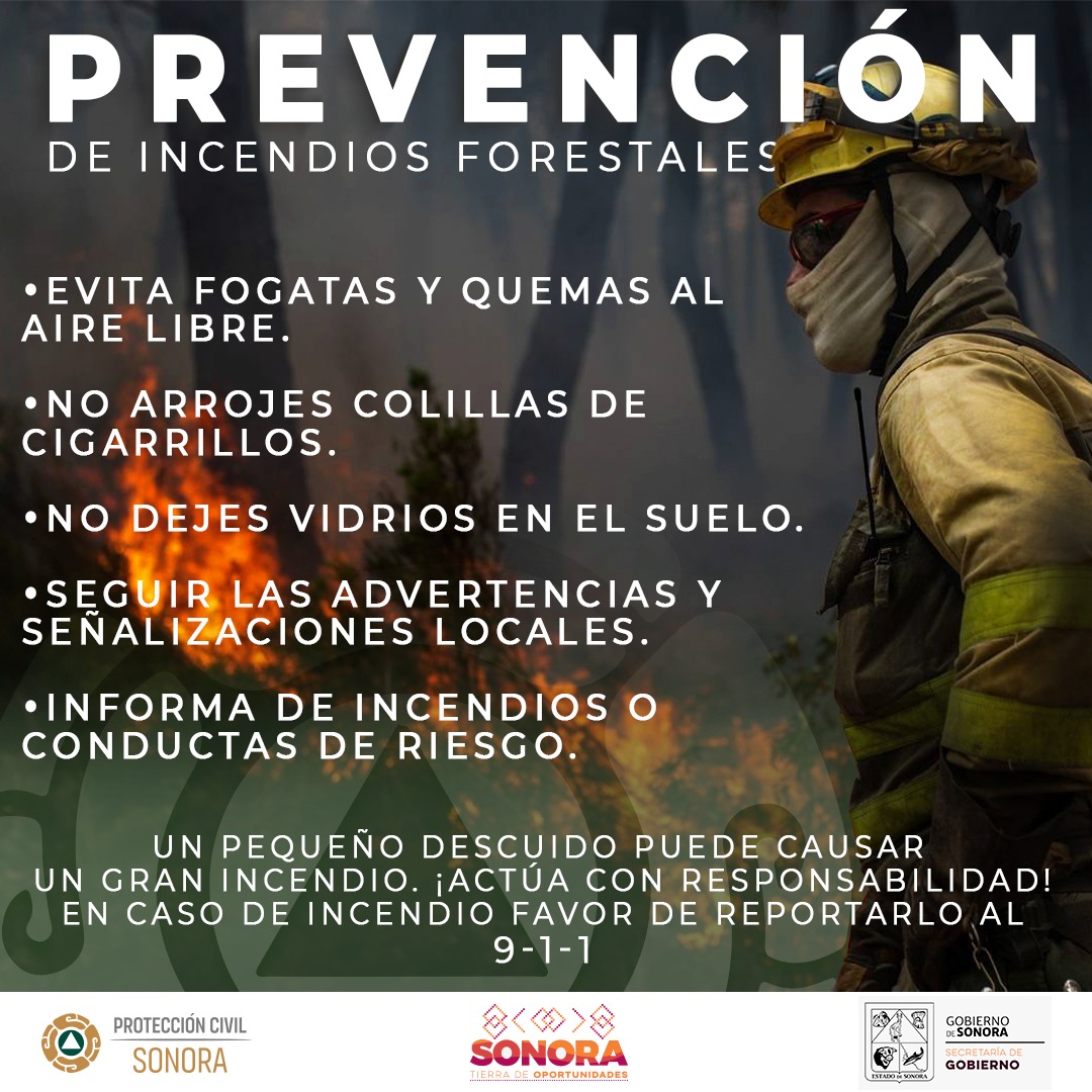 Juntos podemos evitar los incendios forestales